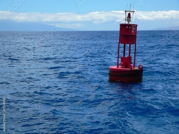 Fototapeta buoy at sea