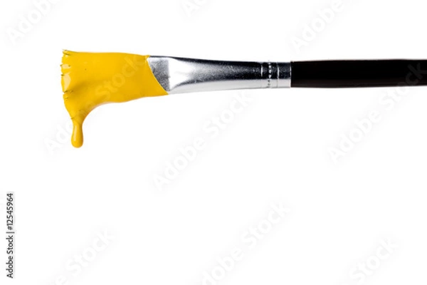 Fototapeta Paint brush