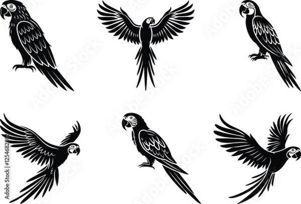 Fototapeta Parrot Macaw premium quality silhouette and line art vector illustration set, Parrot Macaw vector icon design
