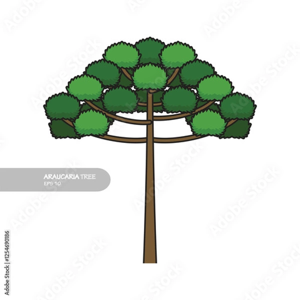 Fototapeta araucaria tree design vector flat modern isolated on white background