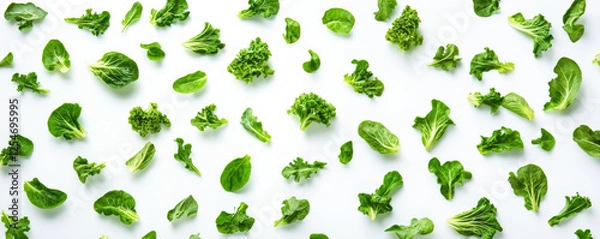 Obraz Fresh leafy green vegetables like kale, spinach, and lettuce arranged beautifully on light background, showcasing their vibrant colors and textures