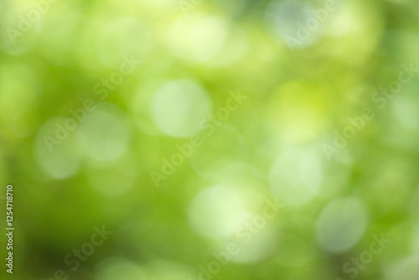 Fototapeta Green bokeh background, blurry green leaves out of focus.