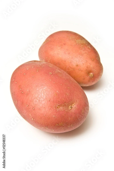 Obraz Red rooster potatoes isolated on a white studio background.