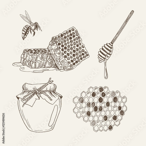 Fototapeta Retro illustrations of elements: honeycomb, bee, honey dipper and jar. Vector vintage set in woodcut style.