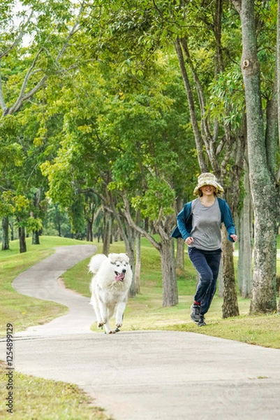 Fototapeta A woman jogs alongside her Alaskan Malamute on a scenic park trail. This energetic Arctic breed, known for endurance and companionship, enjoys an active outdoor lifestyle.
