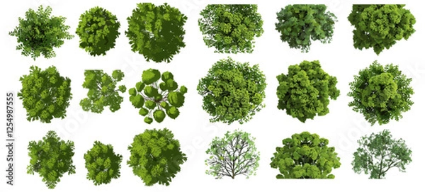 Fototapeta Jungle trees shapes collection, vector illustration top view, tropical forest, nature elements, eco-friendly design, wild plants, foliage silhouettes, nature-inspired