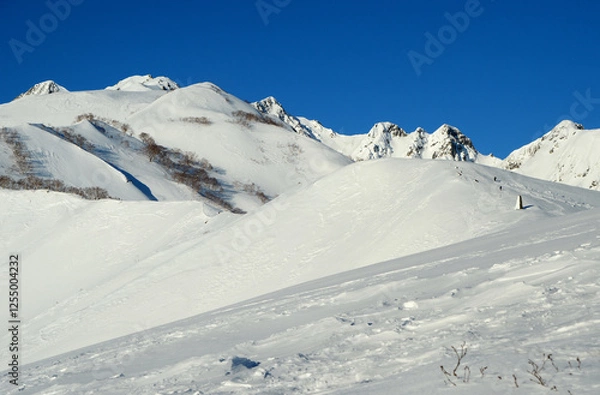 Obraz 厳冬の北アルプス唐松岳