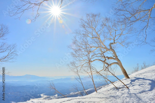 Obraz 八方尾根の冬景色