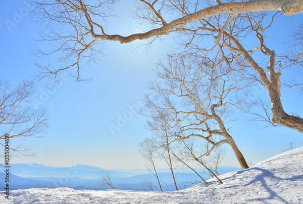 Obraz 八方尾根の冬景色