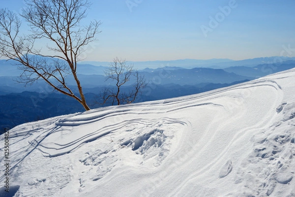 Obraz 風雪後の雪面模様