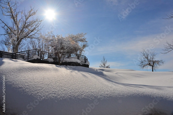 Obraz 新雪輝く雪原