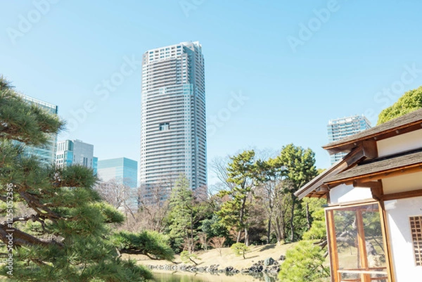 Fototapeta 高層ビルに囲まれた日本の庭園