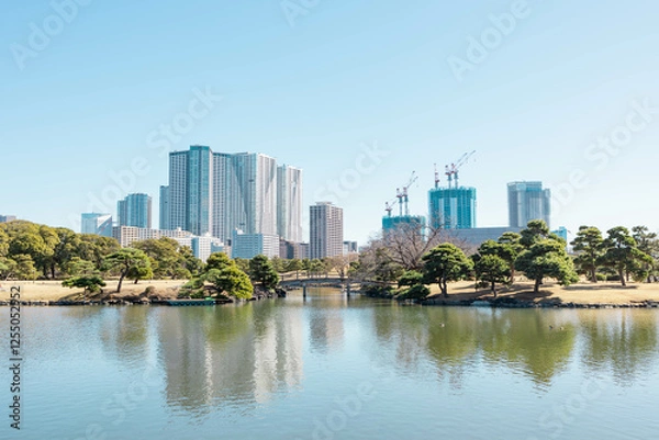Fototapeta 庭園から見える水面に映る東京のビル群