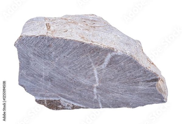 Obraz Limestone rock . Stone specimen. Sedimentary rock sample