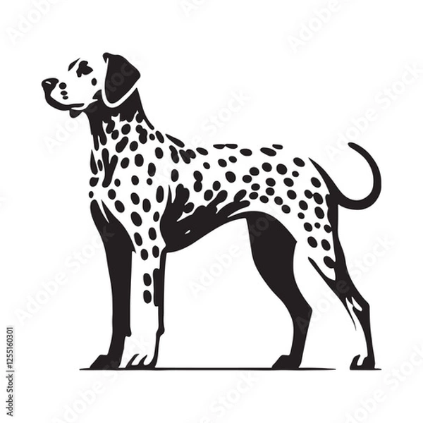 Fototapeta Graceful Dalmatian silhouette with a strong and defined shape - Dalmatian illustration - minimal Dalmatian vector - dog silhouette
