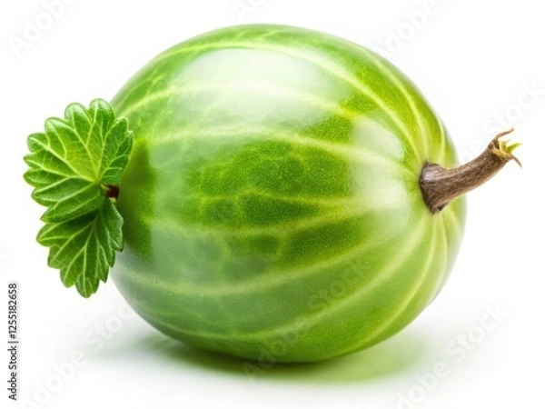 Fototapeta High-resolution image: a single, ripe green gooseberry, isolated on a pristine white background.