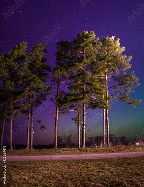 Fototapeta Aurora Borealis