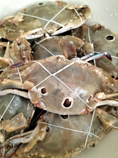 Obraz A groupof crabs in a tray,a fresh seafood