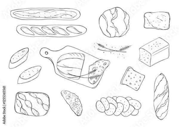Fototapeta Fresh bread.Set of bread and bakery products. Baguette, toast, ciabatta. Sketch or doodle illustration. Objects without colour. Vector. Hand drawing