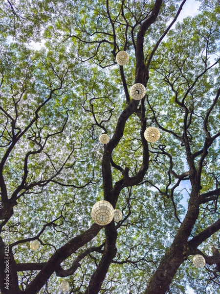 Fototapeta green tree branches