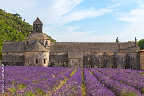 Fototapeta An ancient monastery Abbaye Notre-Dame de Senanque