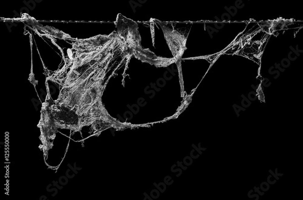 Obraz cobweb or spider web isolated on black background