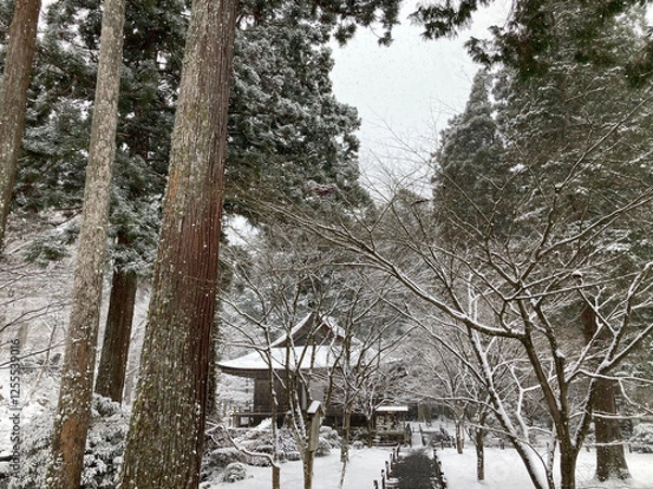 Obraz 雪化粧の三千院