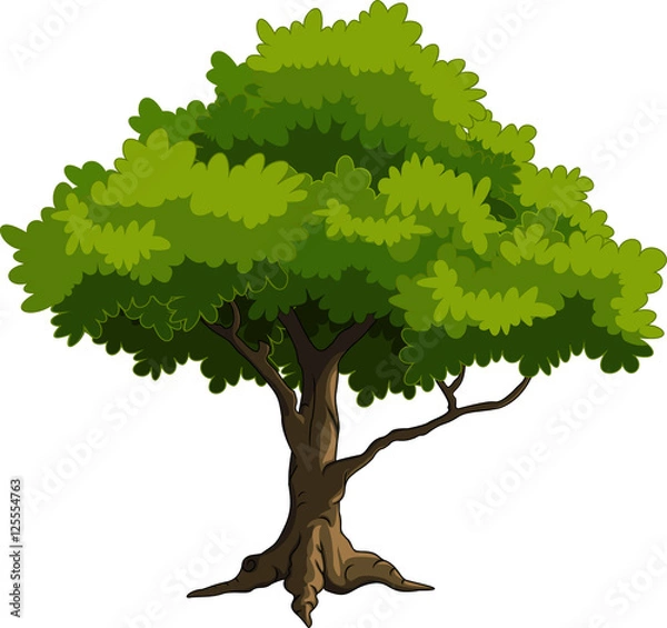 Fototapeta green tree for you design