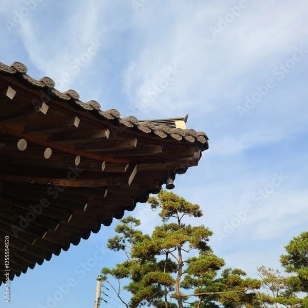 Fototapeta 전통적인 지붕, 처마 위로 펼쳐진 멋진 하늘