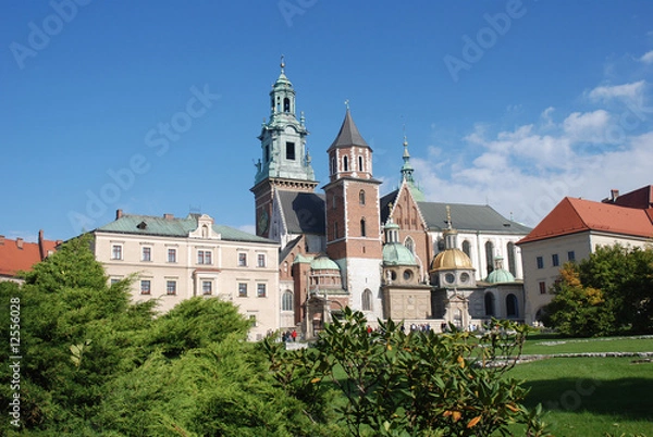 Obraz Wawel, Wawel castle
