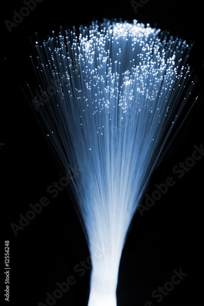 Obraz Fiber optics