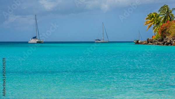 Obraz Grand Anse beach in Grenada