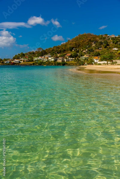 Obraz Grand Anse beach in Grenada