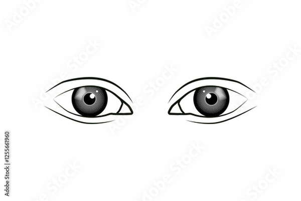 Fototapeta Human Eye vector illustration. Beautiful eye vector.