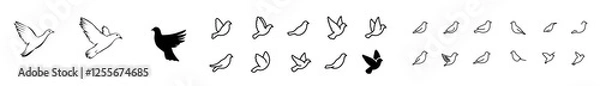 Obraz A set of dove outlines in isolated line art style, created as a modern hand-drawn illustration