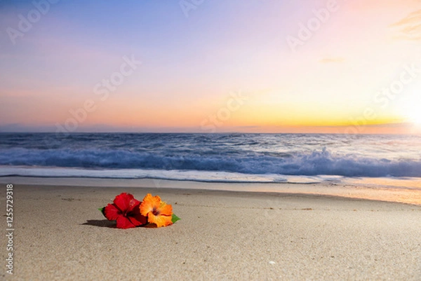 Obraz 南国イメージ