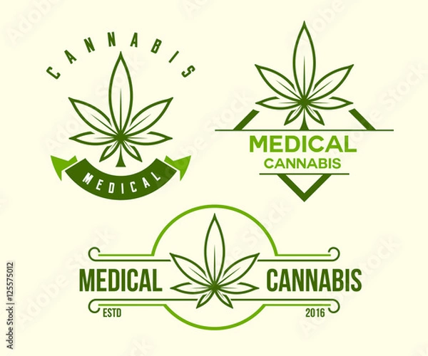 Obraz set of green medical cannabis emblem, logo . classic vintage style