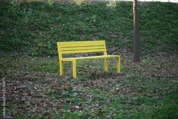 Fototapeta 외로운 노랑의자 하나