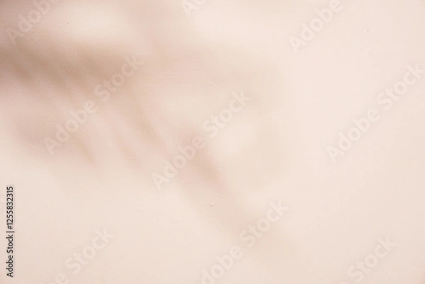 Obraz Cream background 