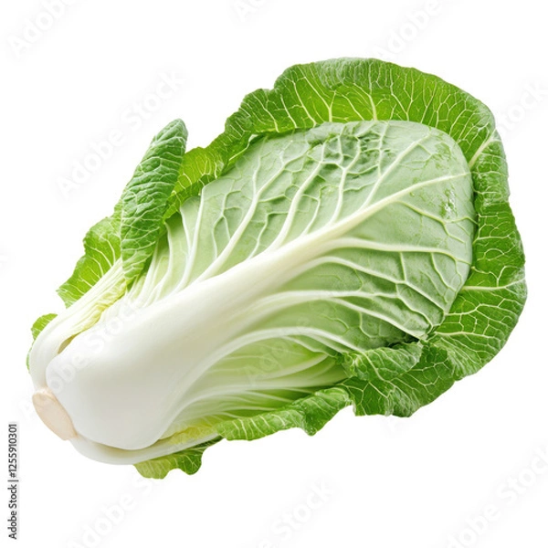 Fototapeta cabbage isolated on white background