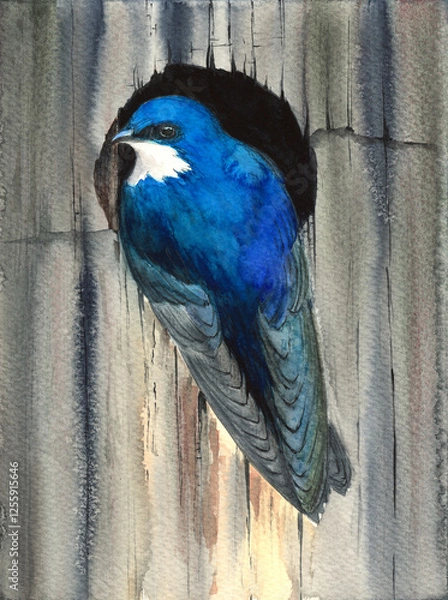 Fototapeta Watercolor illustration of a small bright bird with blue-turquoise feathers sitting on the edge of a round hole in a fence (This illustration was drawn by hand without the use of generative AI!)