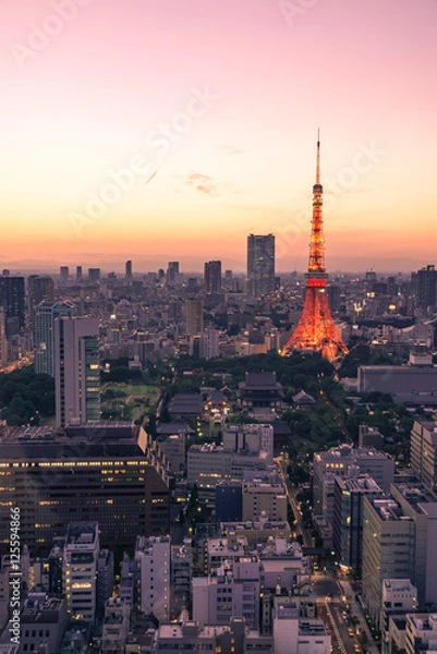 Obraz 東京タワーの夕景
