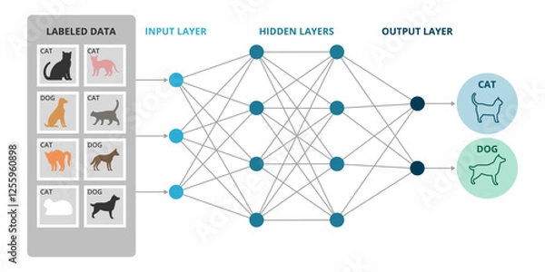 Fototapeta Deep learning and neural networks