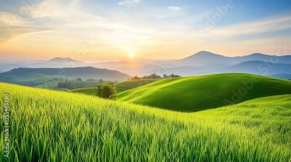 Fototapeta Lush green hills with a distant horizon and soft sunset hues, creating a peaceful background