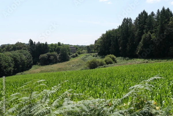 Fototapeta From a hilltop, a breathtaking panoramic view unfolds over the green patchwork of French agricultural fields. Rolling hills stretch into the horizon.