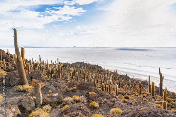 Fototapeta サボテンが彩る絶景 - ウユニ塩湖 インカワシ島