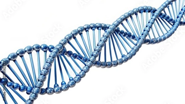 Fototapeta 3D Render of DNA Double Helix on White Background