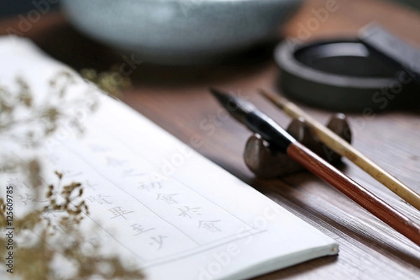 Fototapeta Chinese calligraphy scene  text:Chinese ancient prose