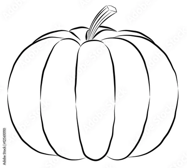 Obraz outline pumpkin black fine lines and spine Vector black silhouette.