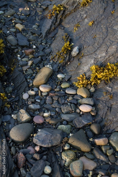 Obraz Tidal Pools Newfoundland